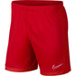 Nike Dry Academy M AJ9994-657 football shorts Clothing/Football Nike