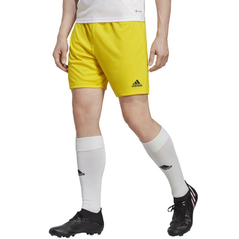 Shorts adidas Entrada 22 M IC7404 Clothing/Training Adidas