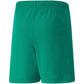 Puma teamRISE Short Jr 704943 05 Clothing/Football Puma