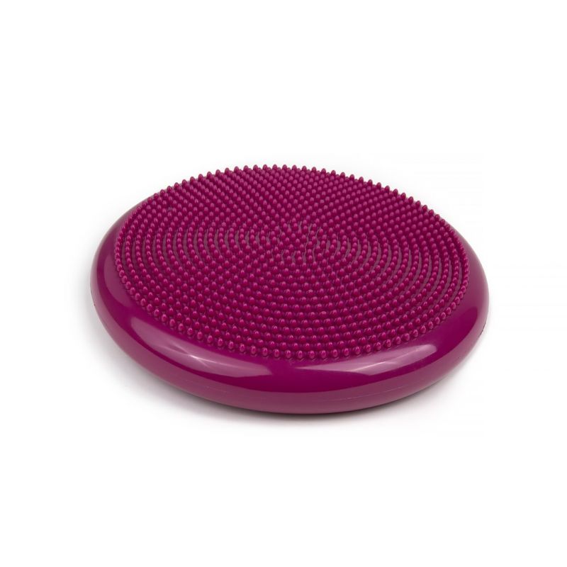 Tiguar (air disc) stabilizing disc DR-GT0001 Accessories/Training equipment Your Sports Performance