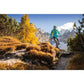 Salewa Pedroc PTC Alpha W Hoody 26355-3390 Clothing/Outdoor/Salewa Your Sports Performance