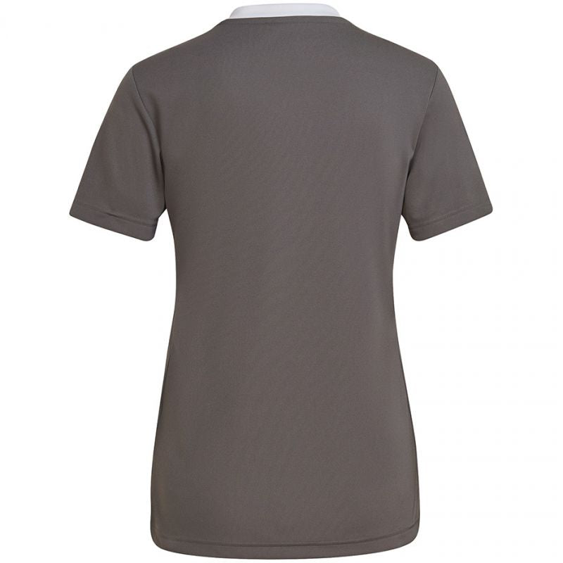 T-shirt adidas Entrada 22 Jsy W H59848 Clothing/Training Adidas