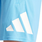adidas Train Essentials Logo Training M IT5421 shorts Clothing/Training Adidas