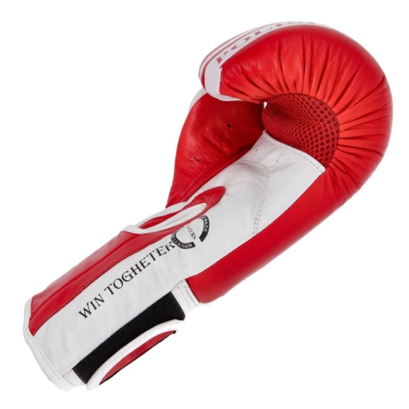Boxing gloves Masters Rbt-PZKB-W 011101-02W