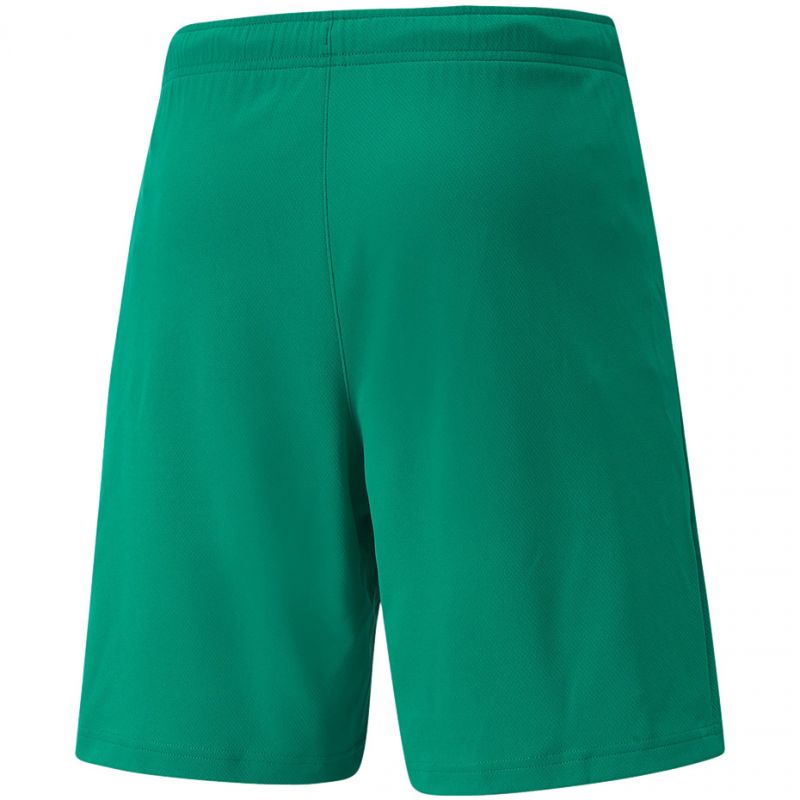 Puma teamRISE Short M 704942 05 Clothing/Football Puma