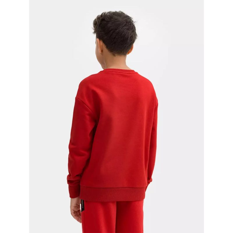 Sweatshirt 4F Jr. 4FJSS23TSWSM222-62S Clothing/Lifestyle/4F 4F