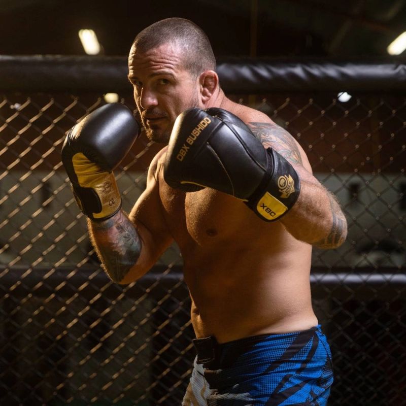 10oz Boxing Gloves - Hammer Gold - Legacy Series rękawice treningowe Your Sports Performance