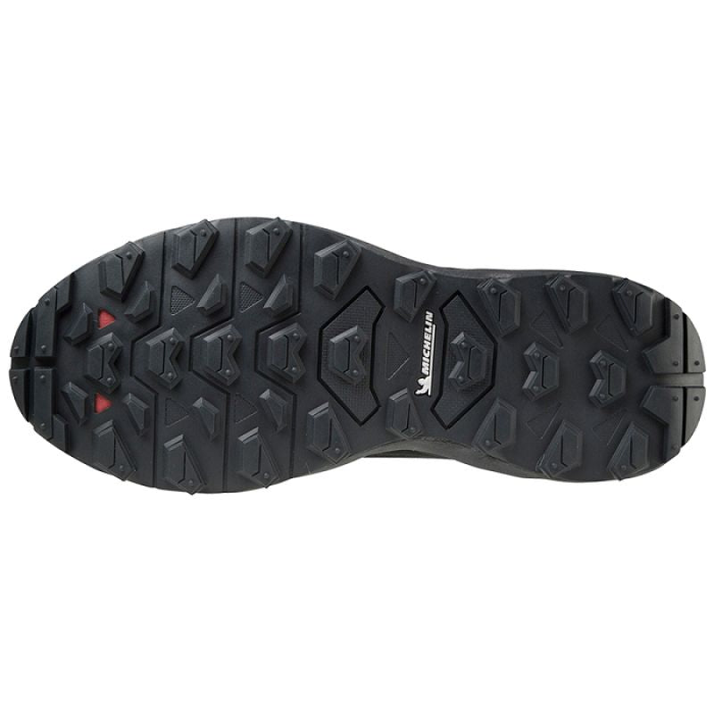 Mizuno Wave Daichi 7 GTX W shoes J1GK225638 Footwear/Running/Women Mizuno