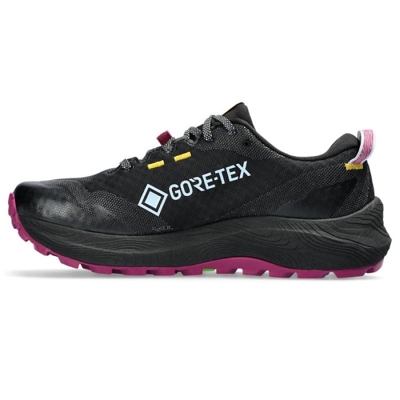 Asics Gel-Trabuco 12 GTX W 1012B607-001 shoes Footwear/Running/Women Asics