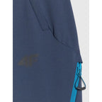 Men's trekking trousers 4F 4FRAW25TFTRM1233-31S 4f