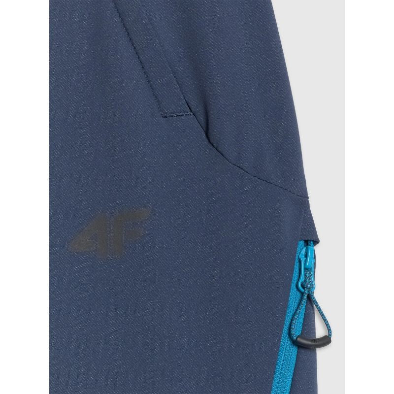 Men's trekking trousers 4F 4FRAW25TFTRM1233-31S 4f