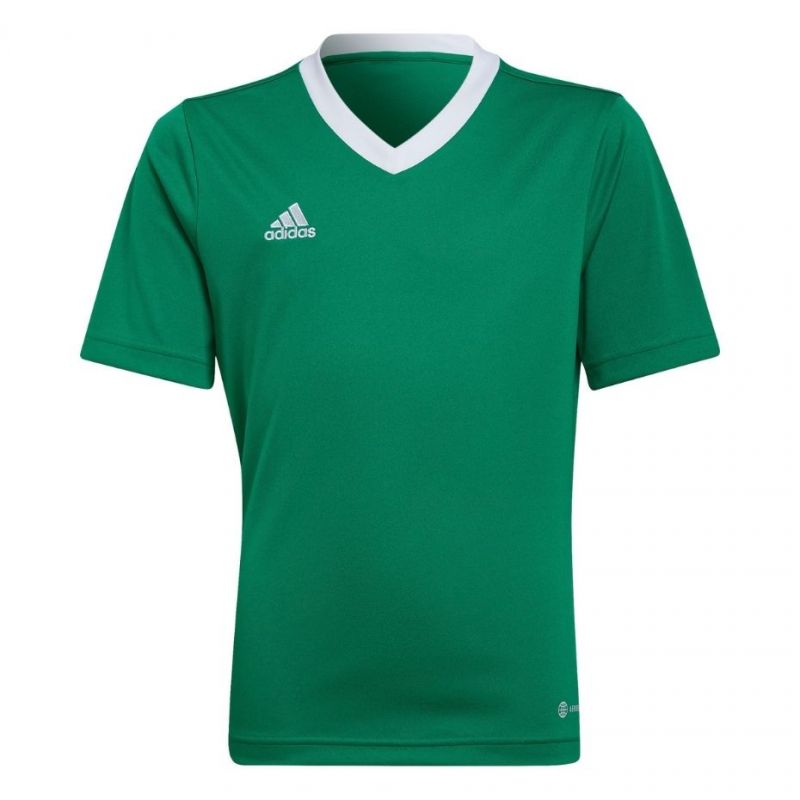 T-shirt adidas Entrada 22 Jersey Jr HI2126 Clothing/Training Adidas
