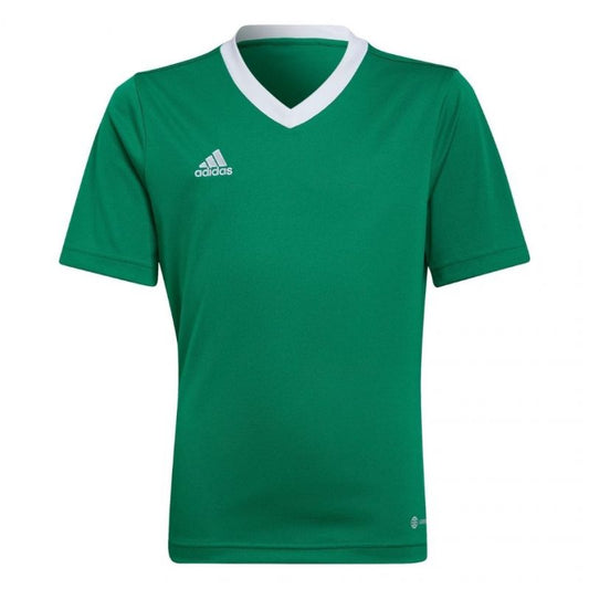 T-shirt adidas Entrada 22 Jersey Jr HI2126 Clothing/Training Adidas
