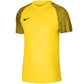 Nike DF Academy Jsy SS M T-shirt DH8031 719 Clothing/Football Nike