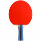 Sport 200 Cornilleau table tennis racket Accessories/Rackets and accessories Your Sports Performance