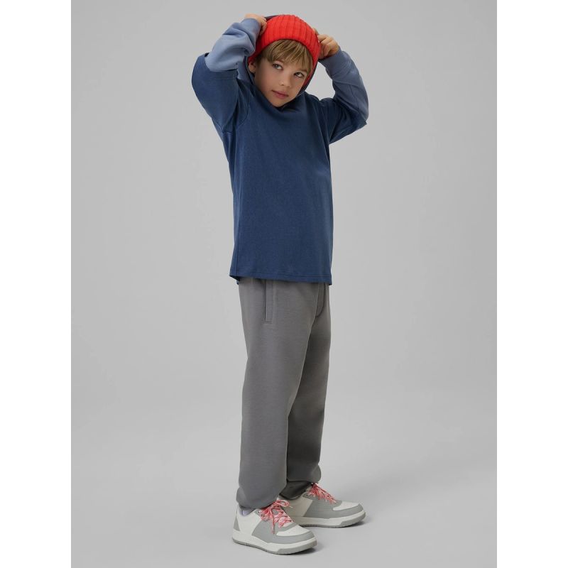 Boy's regular hooded sweatshirt 4F 4FJRSS26TSWSM2637-32S 4f
