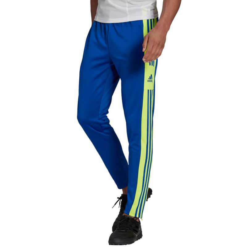 Adidas Squadra 21 Training Pant M GP6451 Clothing/Football Adidas