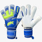 4keepers Champ Junior VII HB M Gloves S994207 Accessories/Gloves/4keepers Your Sports Performance