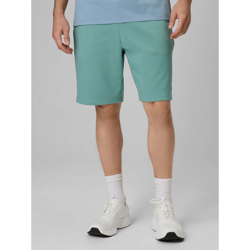 Men's sweatpants 4F 4FRSS26TSHOM0970-47S 4f