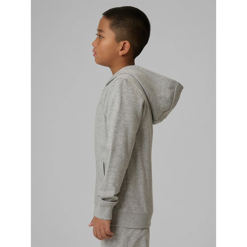 Boy's regular hooded sweatshirt 4F 4FJRMM00TSWSM2747-25M