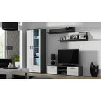 SOHO S6 2D2S display cabinet, grey/white gloss Bufety i witryny/Bufety i witryny na drewnianej podstawie Your Sports Performance