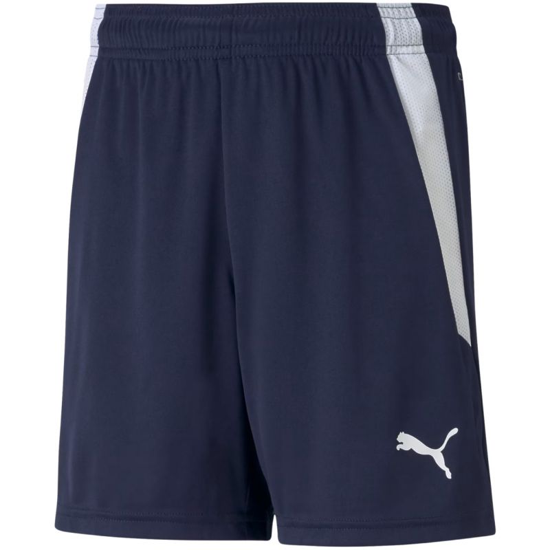 Puma teamLIGA Shorts Jr 704931 06 Clothing/Training Your Sports Performance