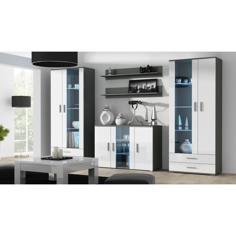 SOHO S6 2D2S display cabinet, grey/white gloss Bufety i witryny/Bufety i witryny na drewnianej podstawie Your Sports Performance