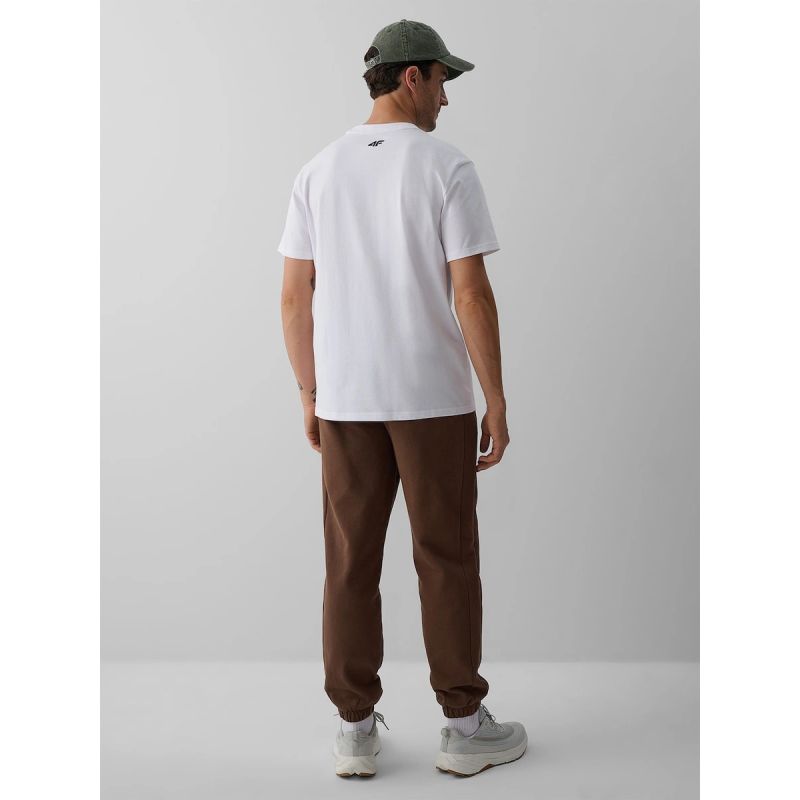 Men's jogger sweatpants 4F 4FRAW26TTROM2092-81S