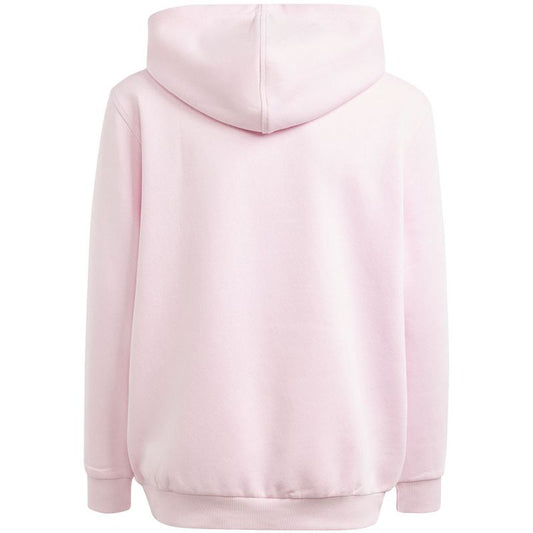 Adidas Allszn Gfx HD Jr sweatshirt IN2844 Clothing/Lifestyle Adidas