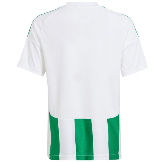 Adidas Striped 24 Jr T-shirt IW2138 Clothing/Football Adidas