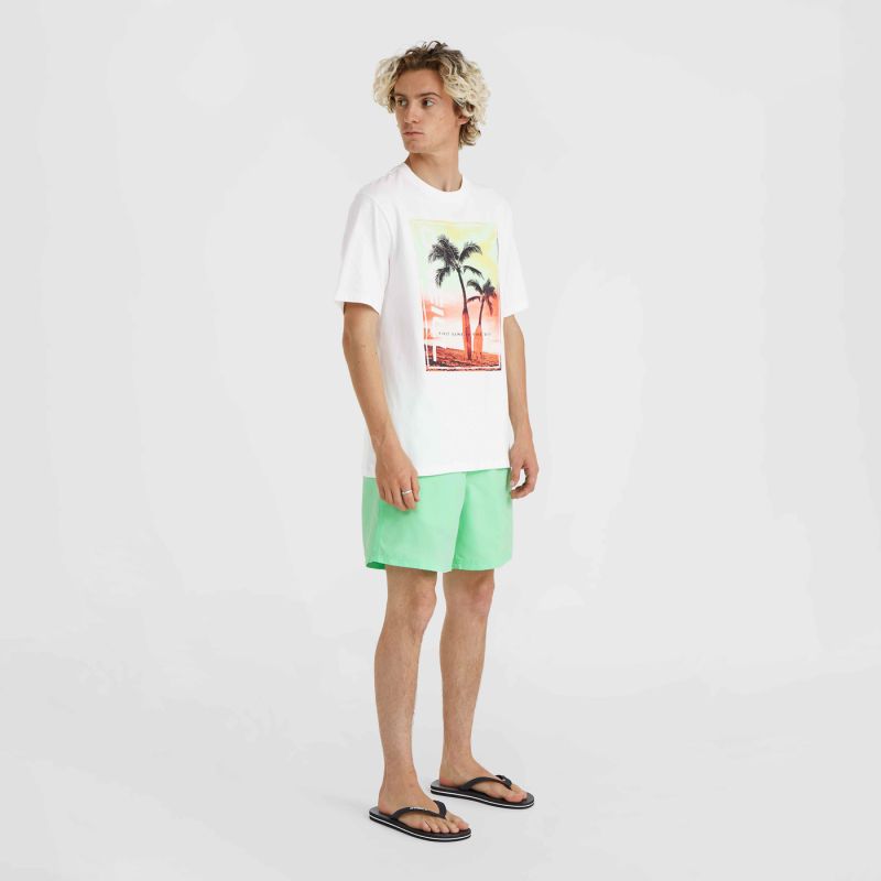 O'Neill Jack Neon T-Shirt M 92800613598 ONeill