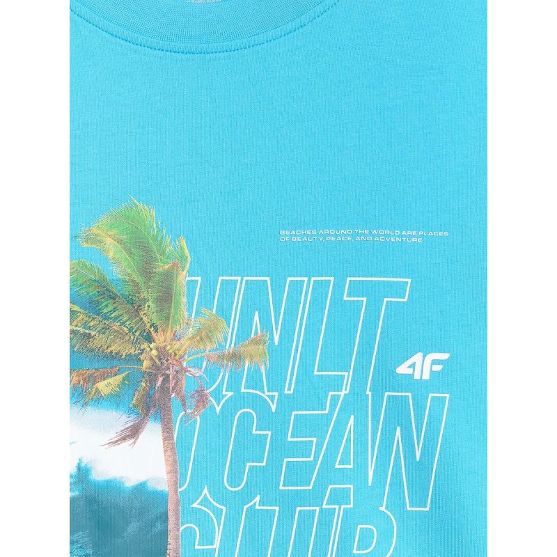 Men's regular printed T-shirt 4F 4FRSS26TTSHM4303-33S 4f