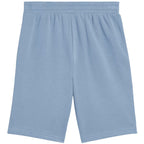 Puma Ess 2 Color No. 1 Logo Shorts M 684715 34 Clothing/Lifestyle/Trousers, shorts/Puma Your Sports Performance