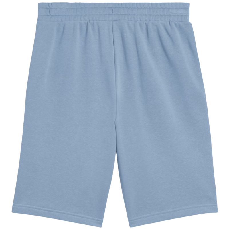 Puma Ess 2 Color No. 1 Logo Shorts M 684715 34 Clothing/Lifestyle/Trousers, shorts/Puma Your Sports Performance