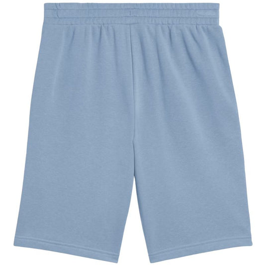 Puma Ess 2 Color No. 1 Logo Shorts M 684715 34 Clothing/Lifestyle/Trousers, shorts/Puma Your Sports Performance