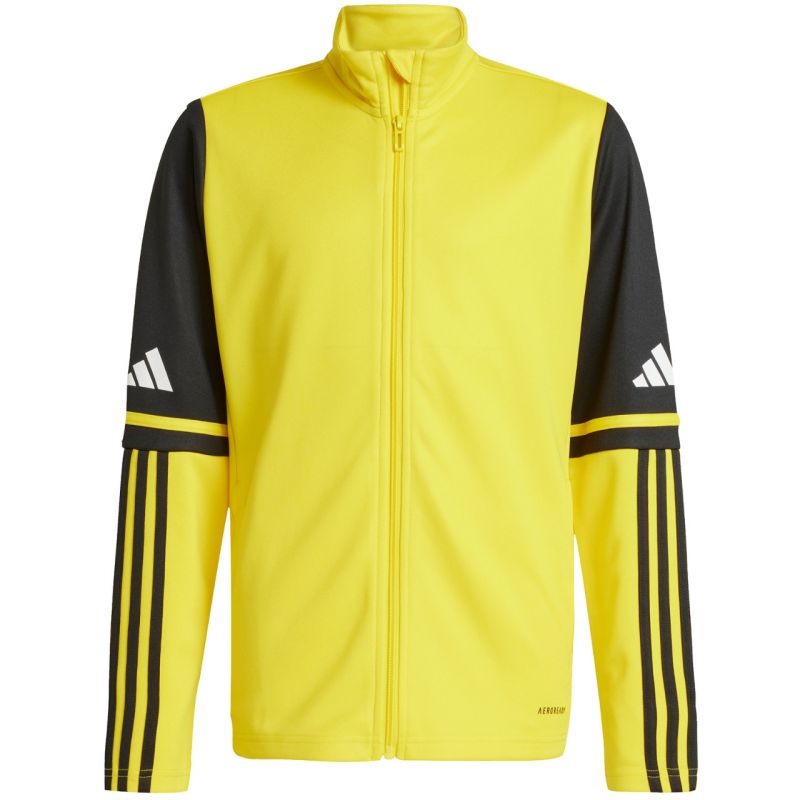 Adidas Squadra 25 Training Jr JP3395 sweatshirt Clothing/Football Adidas