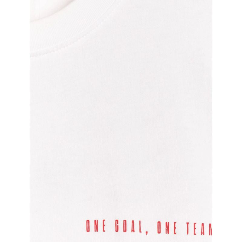 Men's regular printed T-shirt 4F 4FRAW25TTSHM3226-62S 4f