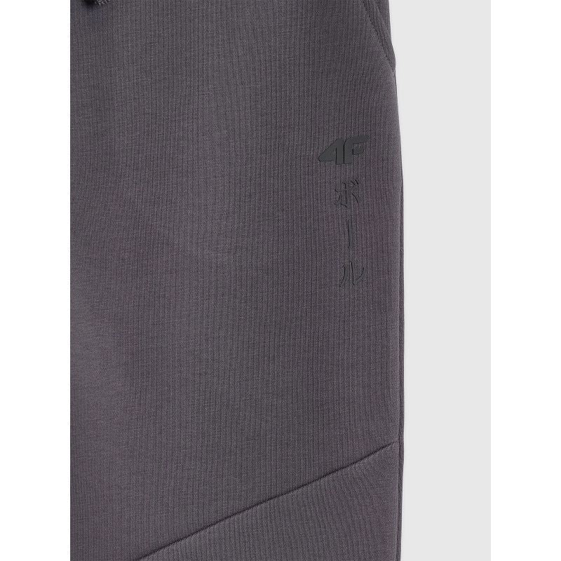 Boys' jogger sweatpants 4F 4FJRAW25TTROM1663-22S *Kategoria tymczasowa Your Sports Performance