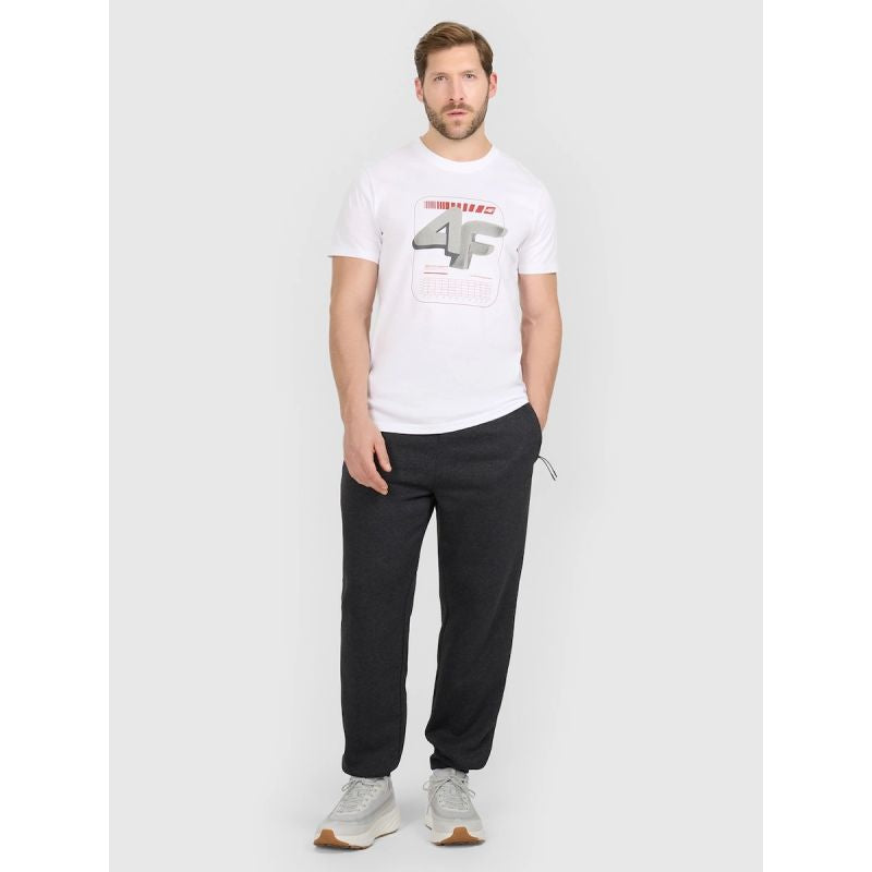 Men's regular printed T-shirt 4F 4FRAW25TTSHM3612-10S