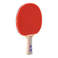 Giant Dragon 3★ N8031 Table Tennis Racket Accessories/Rackets and accessories Your Sports Performance