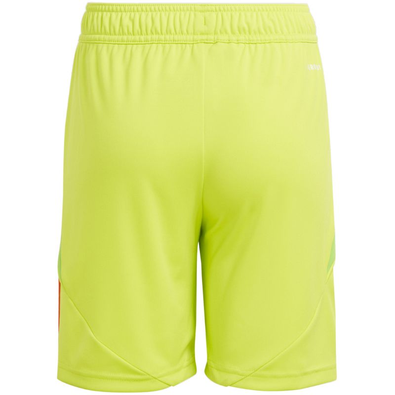 Adidas Tiro 24 Jr IT2421 shorts Clothing/Football Adidas