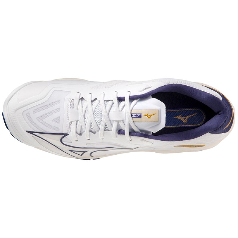 Mizuno Wave Lightning Z7 M V1GA220043 volleyball shoes Footwear/Volleyball/Men Mizuno