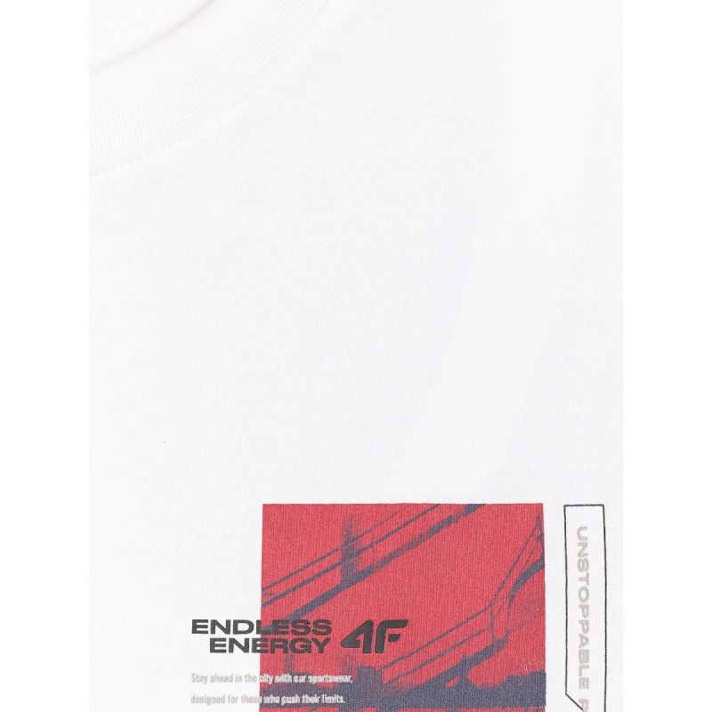 Men's regular printed T-shirt 4F 4FRAW25TTSHM3256-10S *Kategoria tymczasowa Your Sports Performance