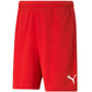 Puma teamRISE Short M 704942 01 Clothing/Running Puma