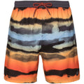 Men’s PROTEST TROY Beach Shorts