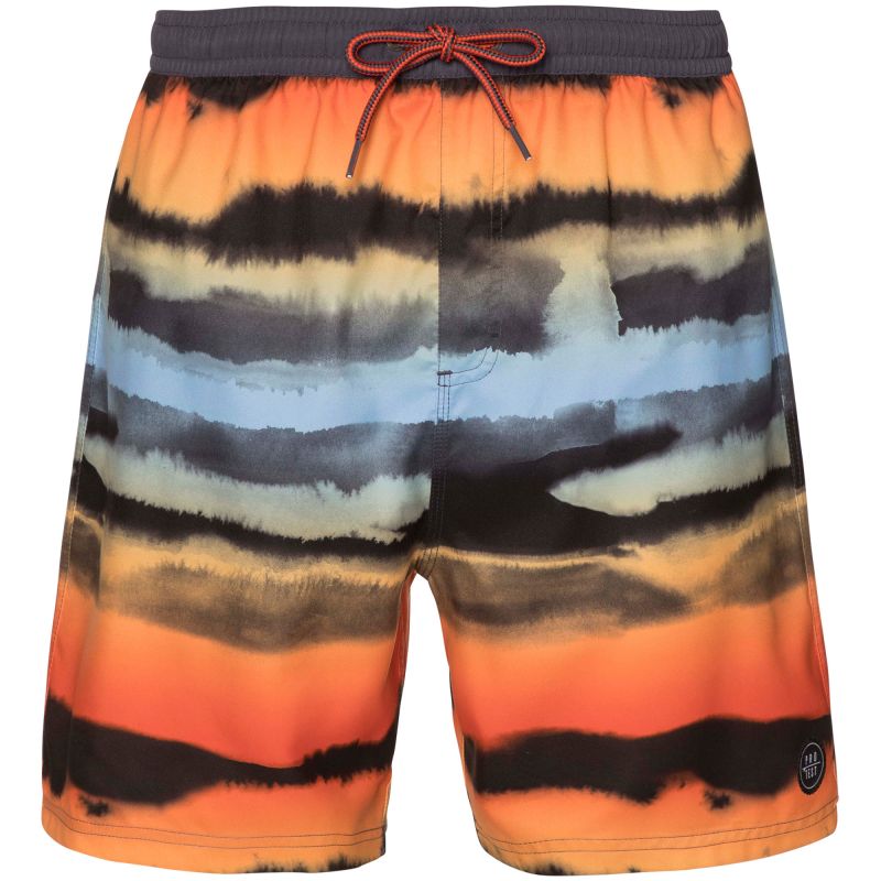 Men’s PROTEST TROY Beach Shorts