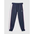 Men's jogger sweatpants 4F 4FRAW25TTROM1611-31S 4f