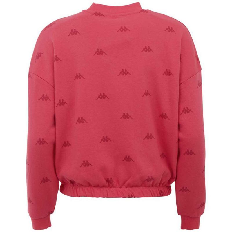 Kappa Ignara sweatshirt W 309091 18-2120 Clothing/Lifestyle/Kappa Kappa