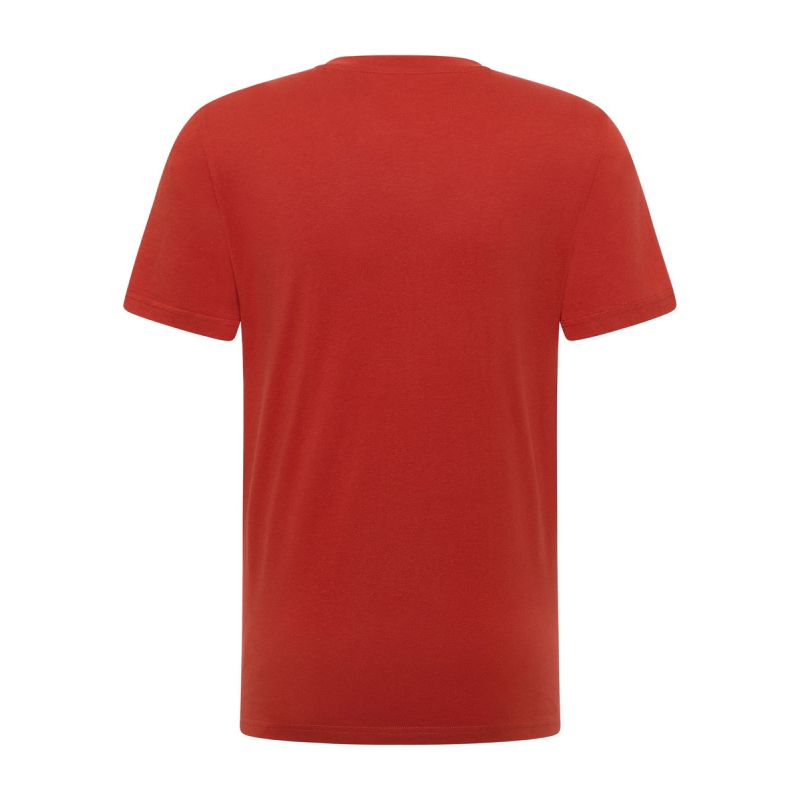 Mustang men's t-shirt AUSTIN 1017772 7113 Mustang