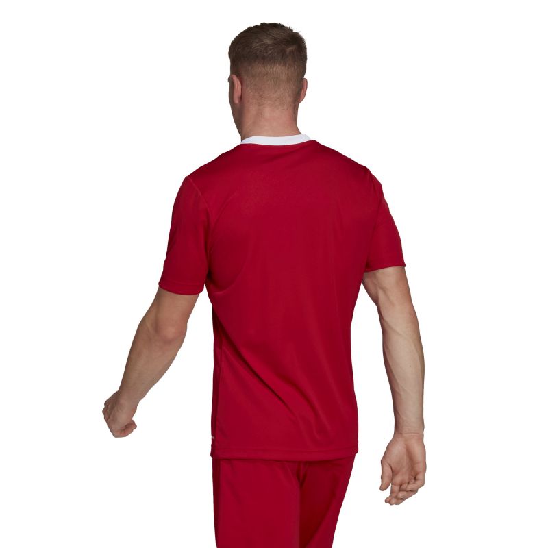 T-shirt adidas Entrada 22 M H61736 Clothing/Football Adidas